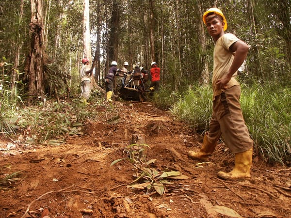 New nickel corridor connects Indonesia with France, CEE